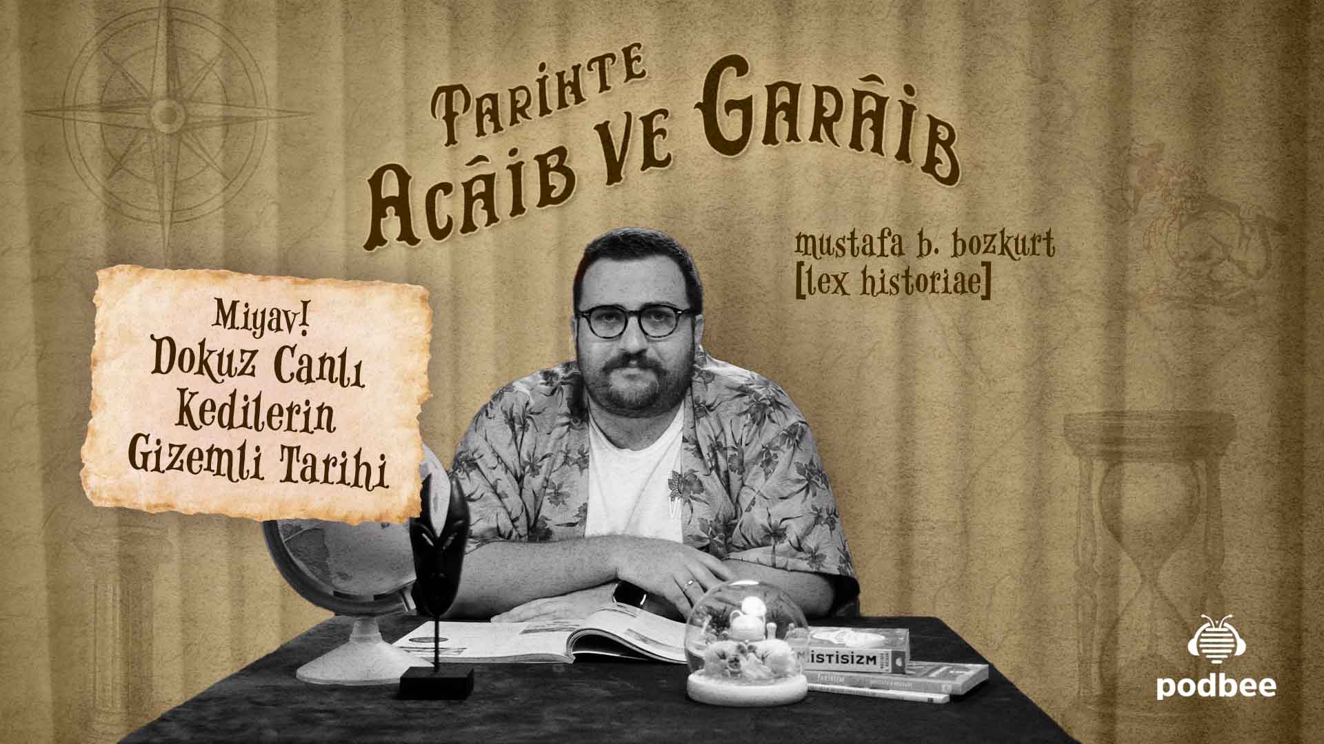 Miyav! Dokuz Canlı Kedilerin Gizemli Tarihi