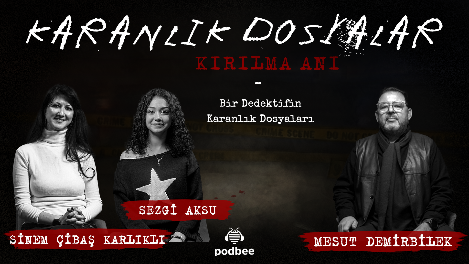 Bir Dedektifin Karanlık Dosyaları