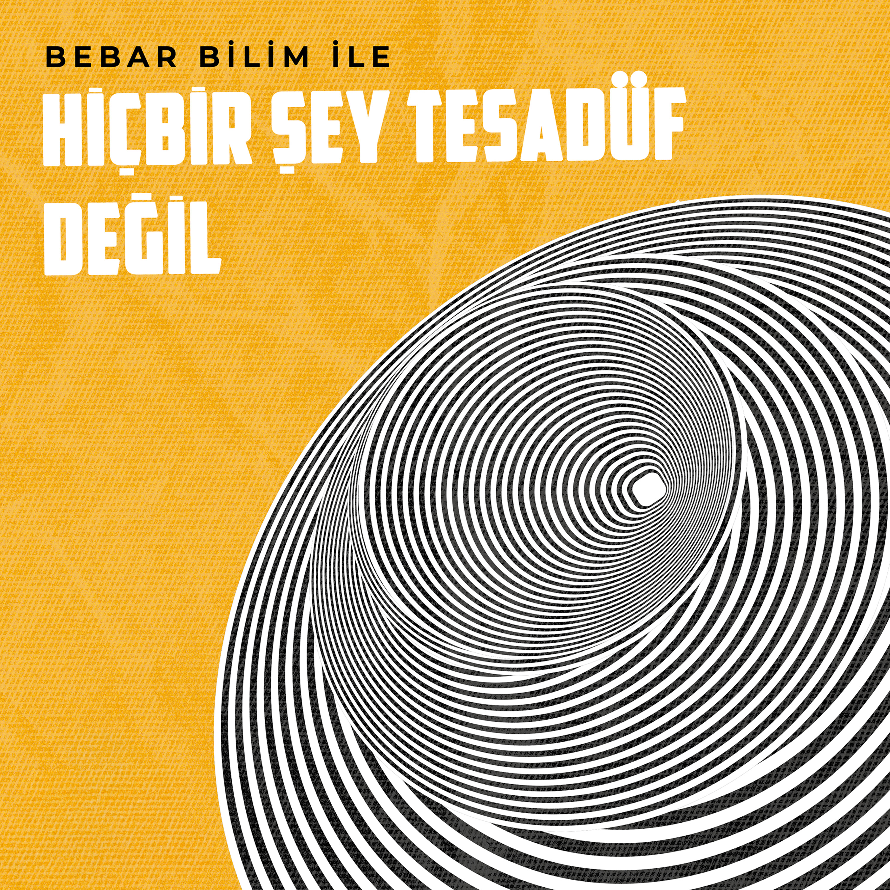 Hiçbir Şey Tesadüf Değil